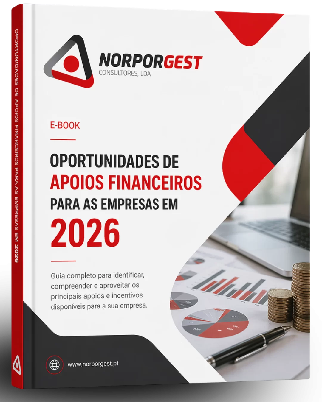 E-book Norporgest